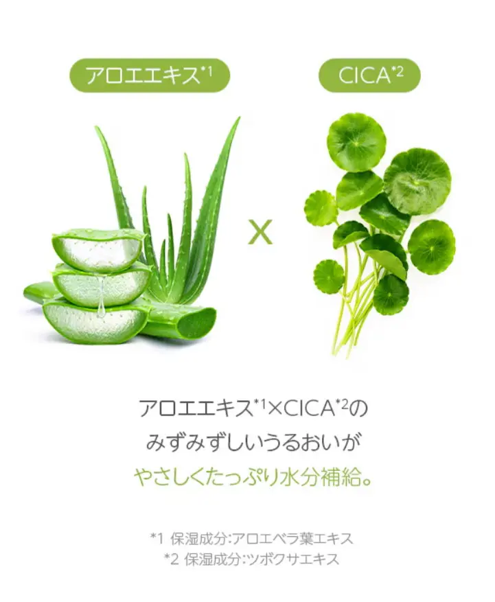 アロエジェルの魅力的な使い方とは？ | MISSHA JAPAN ビューティブログ